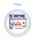 Royal Canin Recovery Patê Cães e Gatos