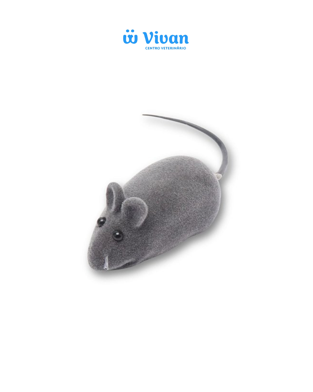 ACESSORIO PARA GATOS RATINHO
