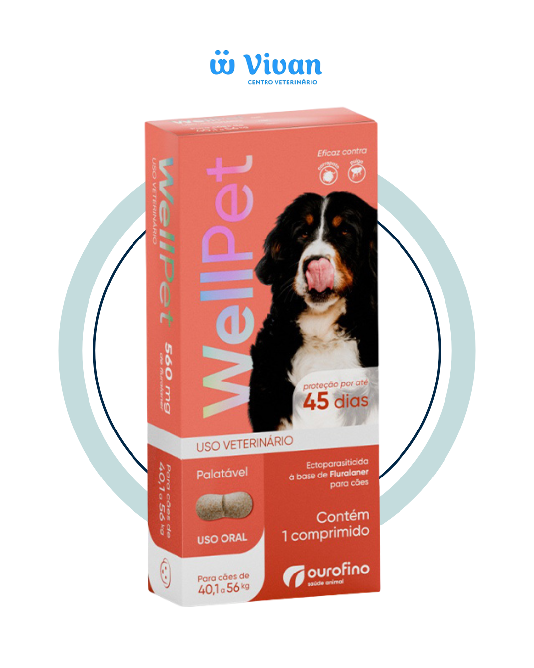 WELLPET 560MG - CAES 40,1 A 56,0KG